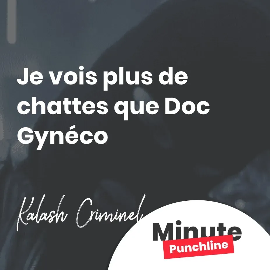 Je vois plus de chattes que Doc Gynéco